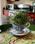 Terra Teacup Planter | The Brooklyn Teacup - The Brooklyn Teacup