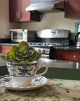 Terra Teacup Planter | The Brooklyn Teacup - The Brooklyn Teacup