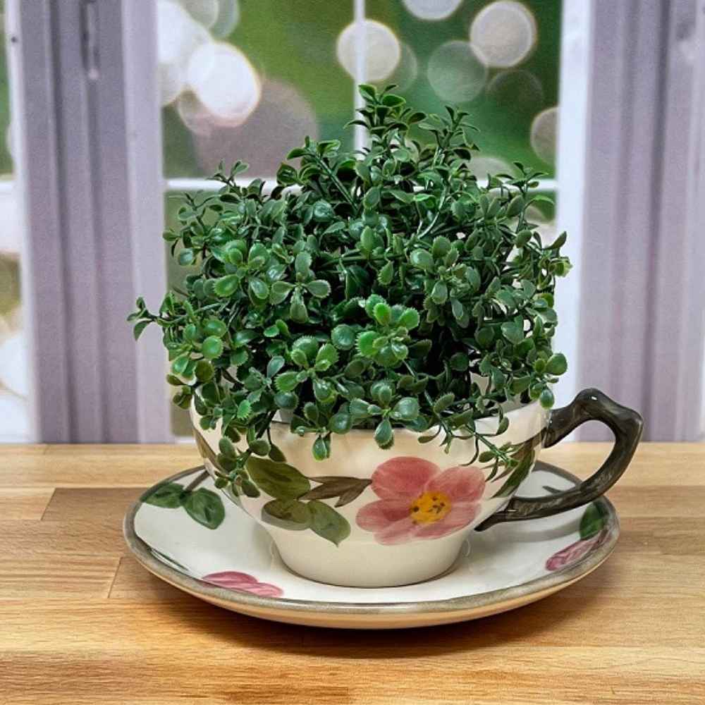 large cup and saucer planter pot Desert Rose Teacup Planter