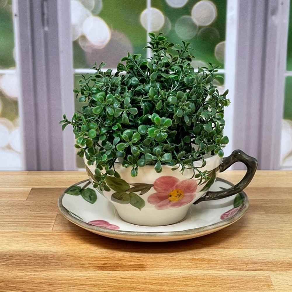 wicker tea cup and saucer planter Teacup Planter