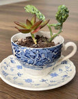 Teacup Planter | Upcycle | The Brooklyn Teacup - The Brooklyn Teacup