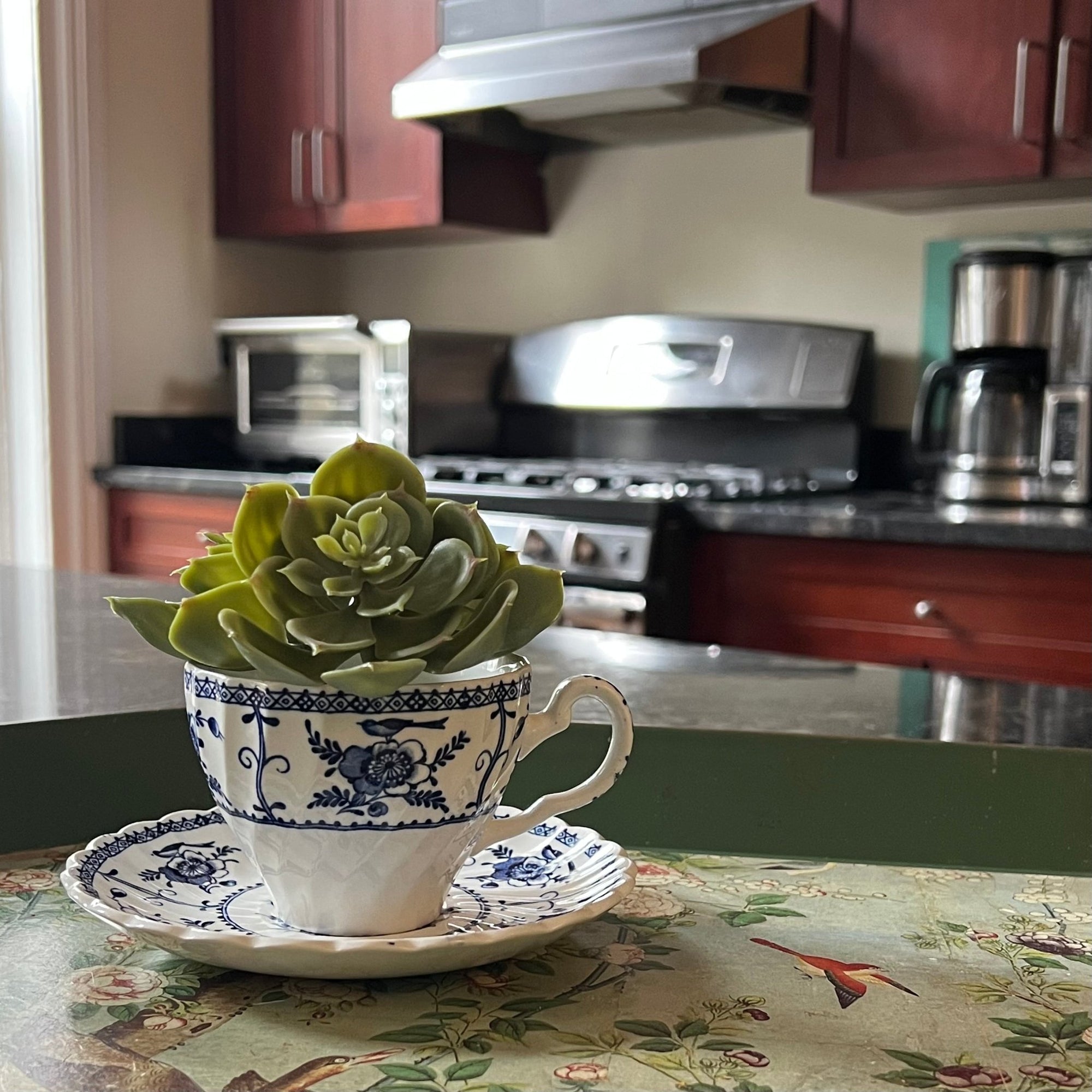 blue and white planter with saucer Blue & White Ceramic Teacup Planter with Drainage – The Brooklyn Teacup