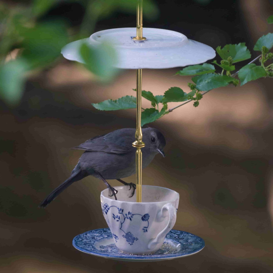 Aesop Teacup Bird Feeder | The Brooklyn Teacup - The Brooklyn Teacup