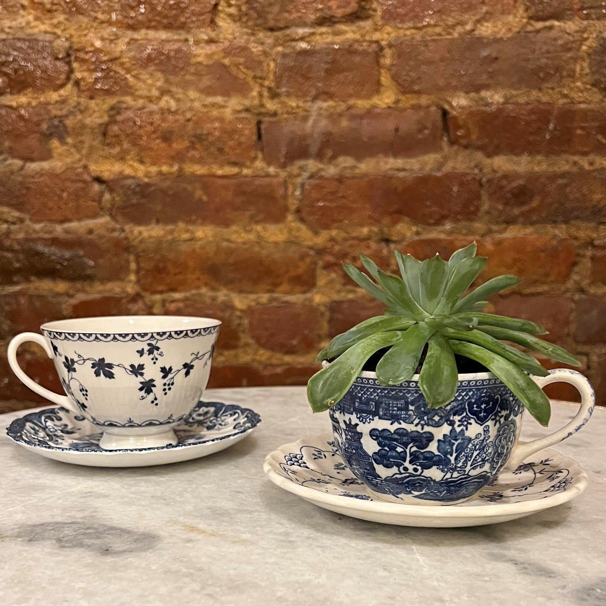 Blue &amp; White | Planter | Various - The Brooklyn Teacup