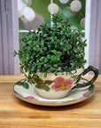 Teacup Planter | The Brooklyn Teacup - The Brooklyn Teacup